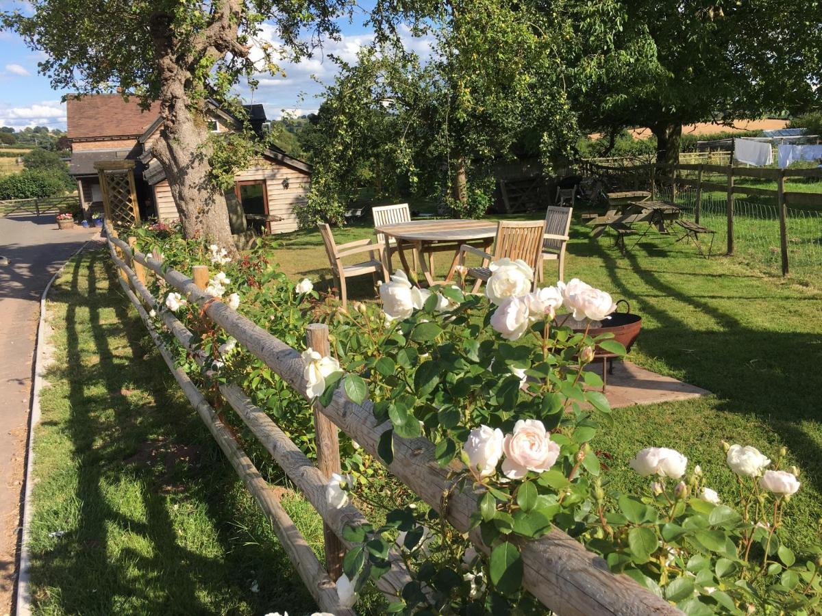 ليومنستر Grove Farm B&B المظهر الخارجي الصورة